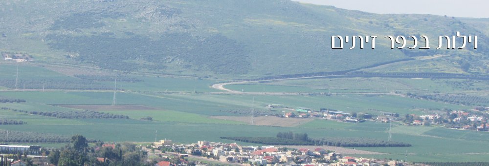 אחוזות בכפר זיתים